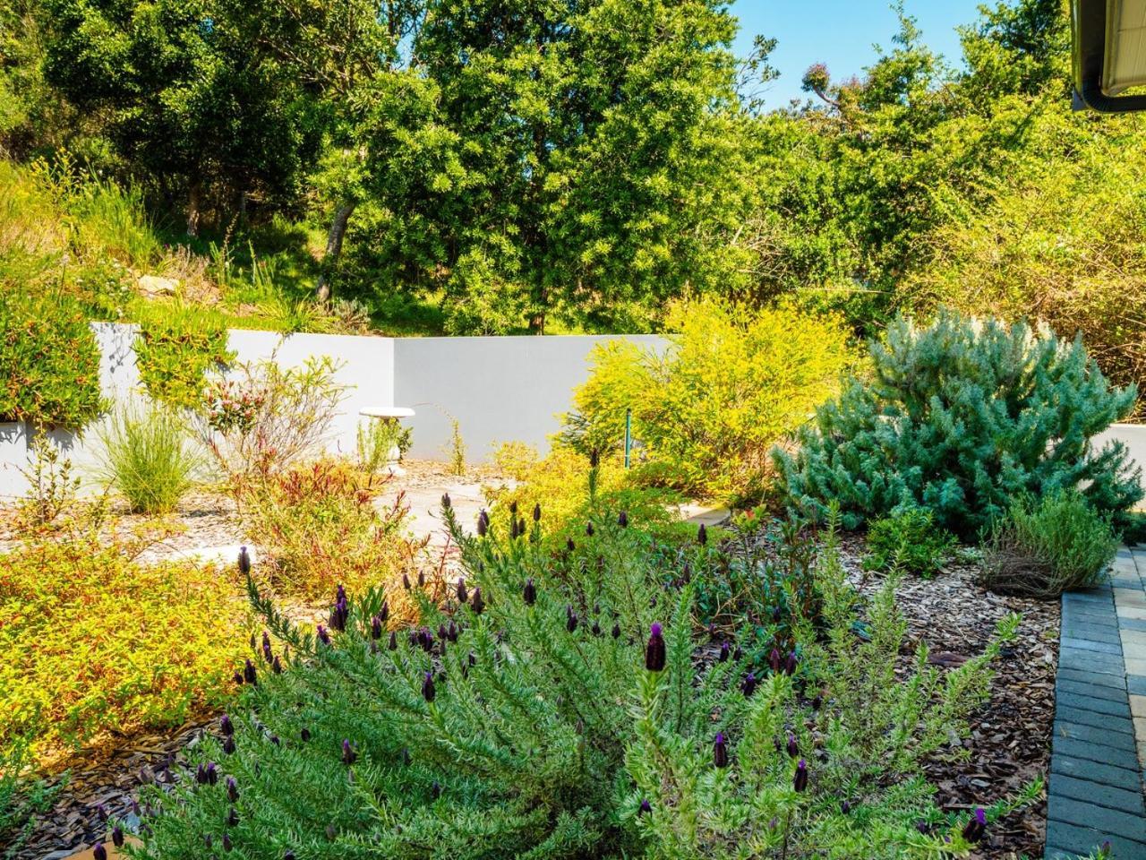 Bushbuck Terrace Βίλα Κνύσνα Εξωτερικό φωτογραφία